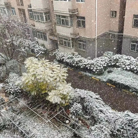 美炸!宝鸡初雪已至,许你一场浪漫人间(图6) 美炸!宝鸡初雪已至,许你一场浪漫人间(图6)