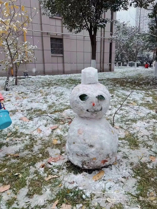 美炸!宝鸡初雪已至,许你一场浪漫人间(图10) 美炸!宝鸡初雪已至,许你一场浪漫人间(图10)