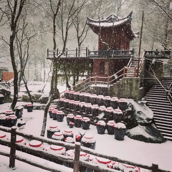 美炸!宝鸡初雪已至,许你一场浪漫人间(图15) 美炸!宝鸡初雪已至,许你一场浪漫人间(图15)