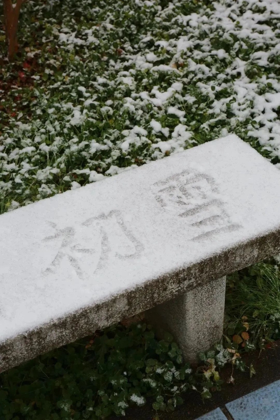 美炸!宝鸡初雪已至,许你一场浪漫人间(图14) 美炸!宝鸡初雪已至,许你一场浪漫人间(图14)