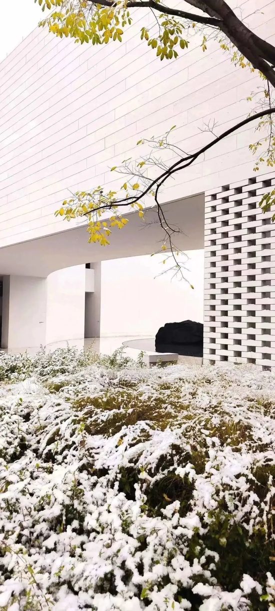 美炸!宝鸡初雪已至,许你一场浪漫人间(图23) 美炸!宝鸡初雪已至,许你一场浪漫人间(图23)