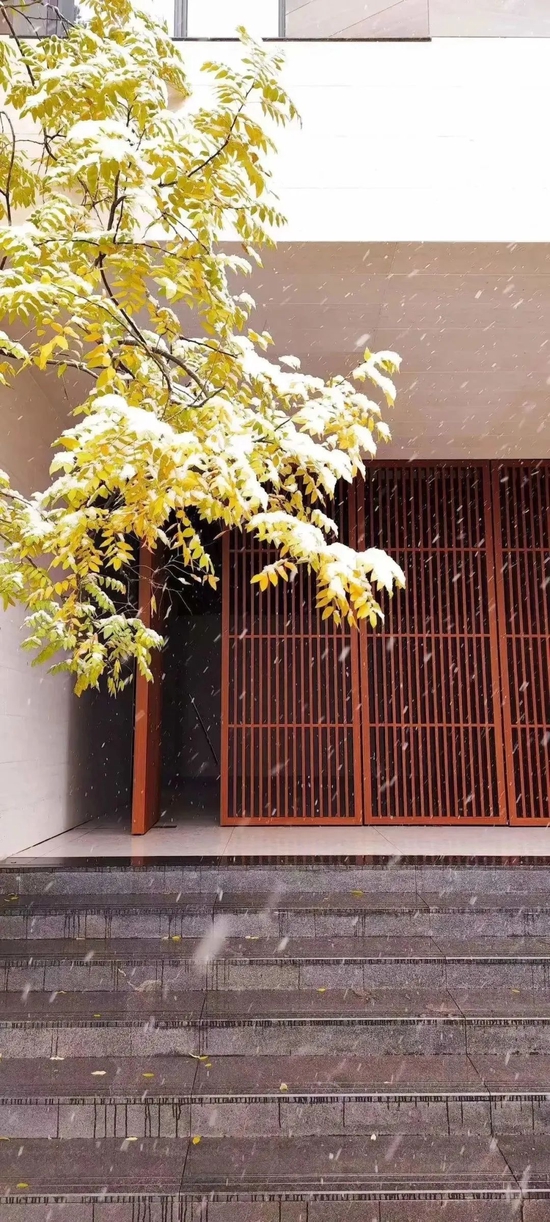 美炸!宝鸡初雪已至,许你一场浪漫人间(图24) 美炸!宝鸡初雪已至,许你一场浪漫人间(图24)