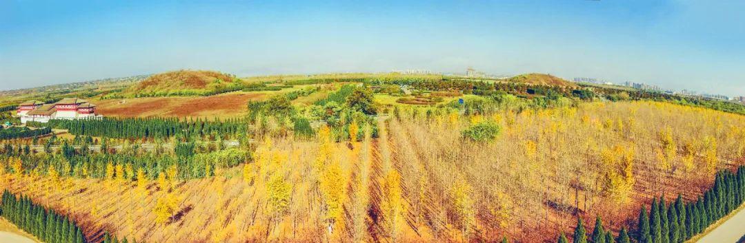 西咸新区秦汉新城影视文化产业基地入驻企业超200家(图6)