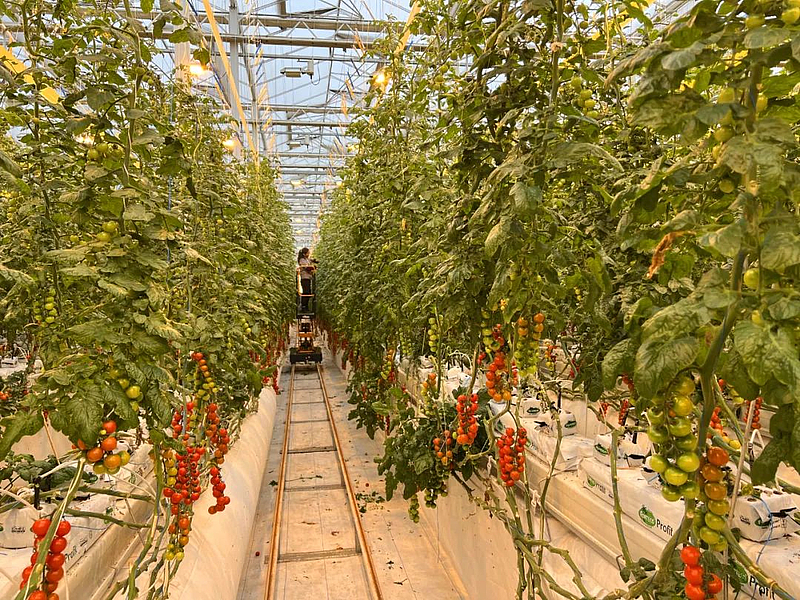 杨凌示范区让智慧化、数字化、标准化的“种子”在这片土地上生根发芽(图1) 杨凌示范区让智慧化、数字化、标准化的“种子”在这片土地上生根发芽(图1)