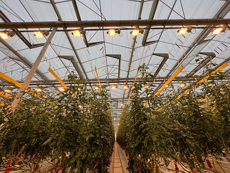 杨凌示范区让智慧化、数字化、标准化的“种子”在这片土地上生根发芽(图4) 杨凌示范区让智慧化、数字化、标准化的“种子”在这片土地上生根发芽(图4)