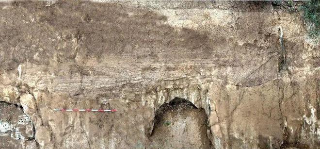 2022年度“十大考古”初评,陕西3个项目入围!(图3) 2022年度“十大考古”初评,陕西3个项目入围!(图3)