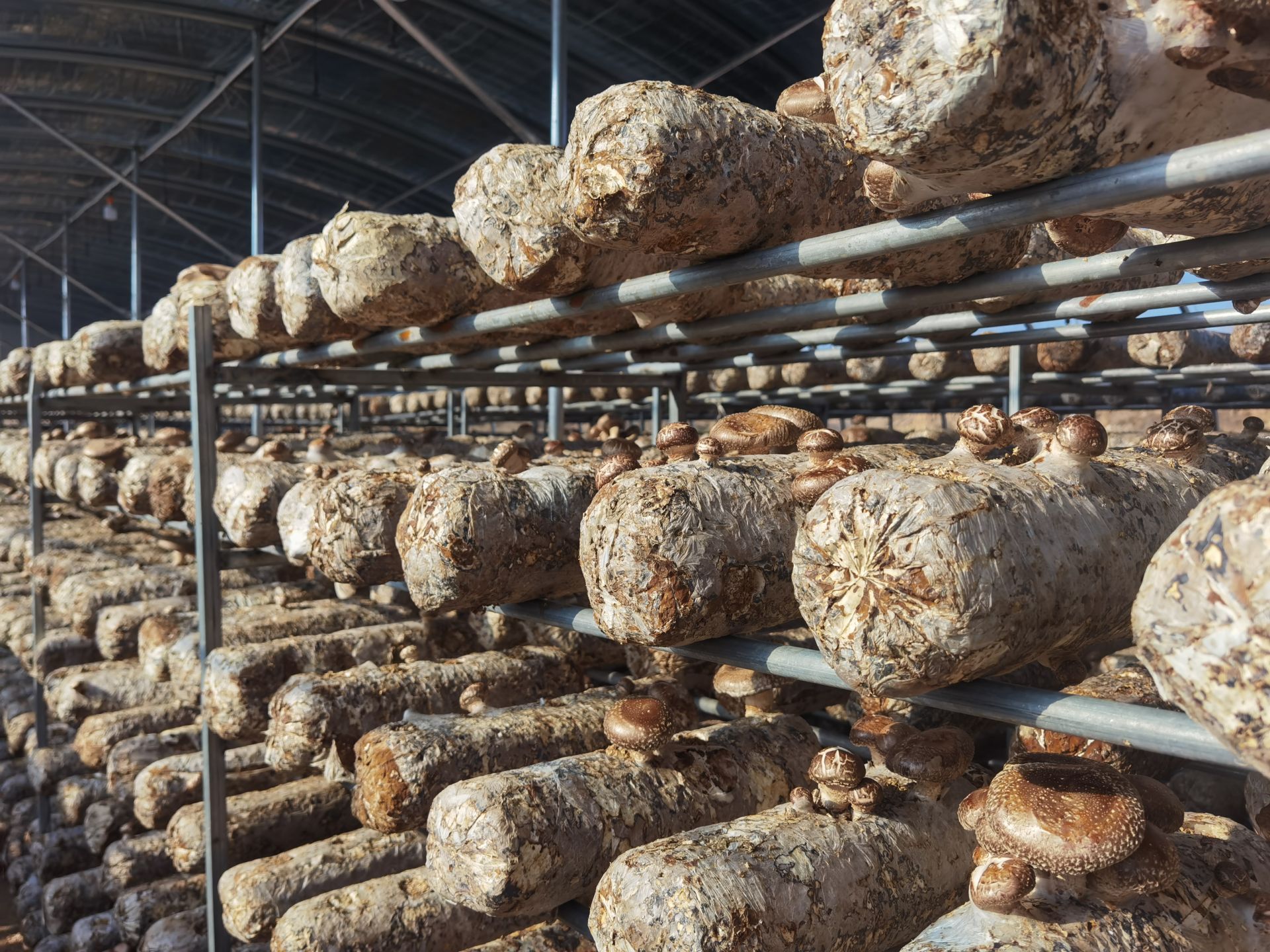 正在上传... 09657d03b975b532388e2946d56278f9.jpeg