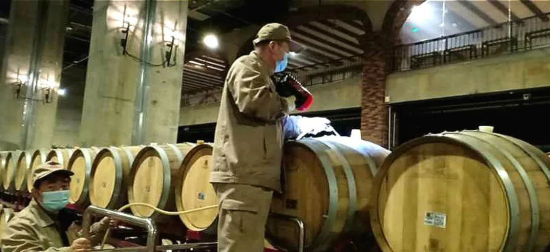 1677638526168.png 1677638526168.png