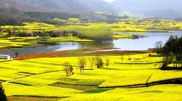 陕西汉中旅游文化节将于3月18日启动 邀您共赴最美油菜花海(图3) 陕西汉中旅游文化节将于3月18日启动 邀您共赴最美油菜花海(图3)