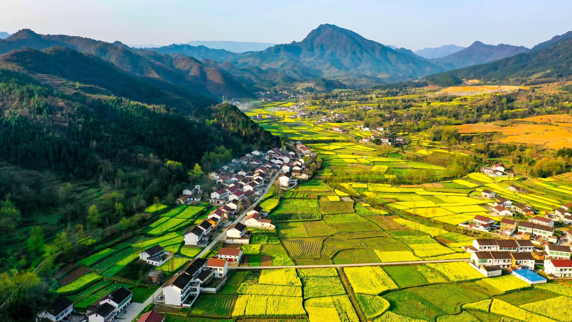 陕西汉中旅游文化节将于3月18日启动 邀您共赴最美油菜花海(图2) 陕西汉中旅游文化节将于3月18日启动 邀您共赴最美油菜花海(图2)