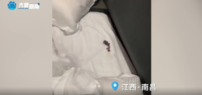 1679536302527884.png image.png