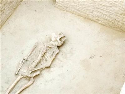 郑州常庄水库道李村附近疑似发现大量汉朝古墓(图6) 郑州常庄水库道李村附近疑似发现大量汉朝古墓(图6)