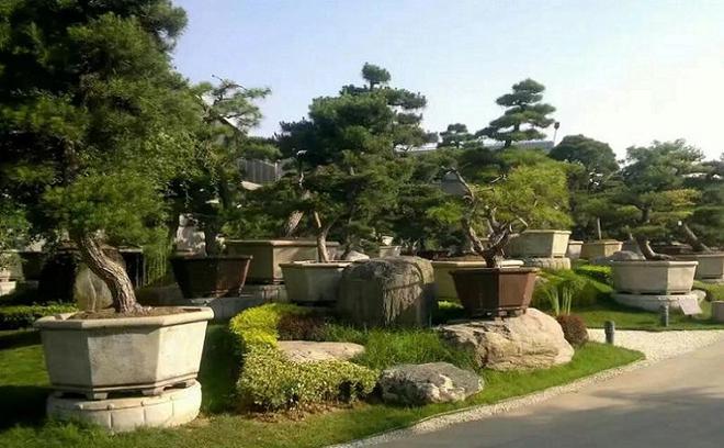 你可知道陕西有哪些人少好玩的地方？（陕西十大冷门景点）(图2)