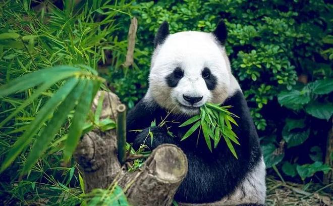 你可知道陕西有哪些人少好玩的地方？（陕西十大冷门景点）(图55)