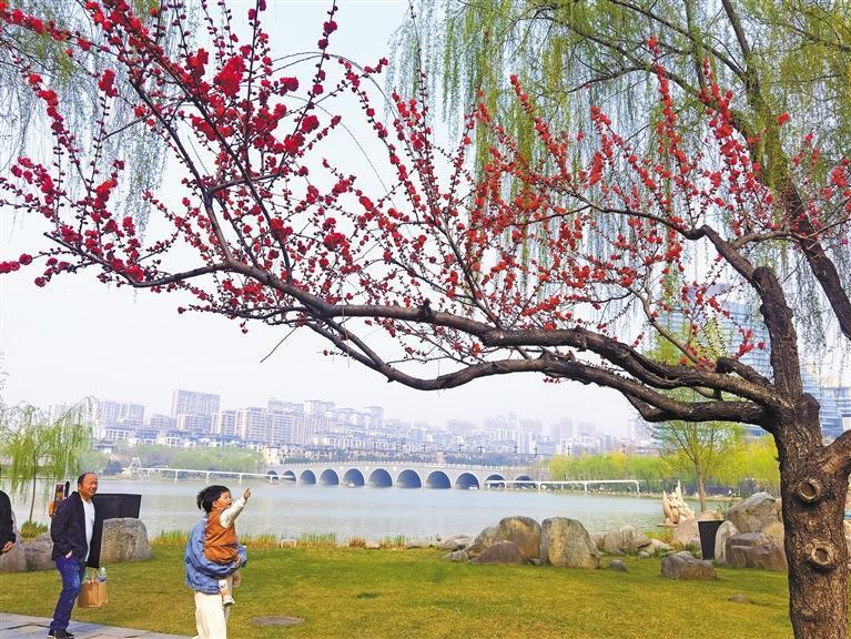 行三秦大地,赏繁花似锦,品生态之美——我与春天有个约会(图1) 6b1d04fd102ad0fc680cda6097000c45.jpeg