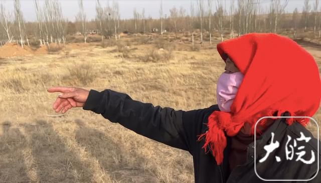 “跪地求水”的林场主孙国友被称“治沙英雄” 当地村民有异议(图2) \