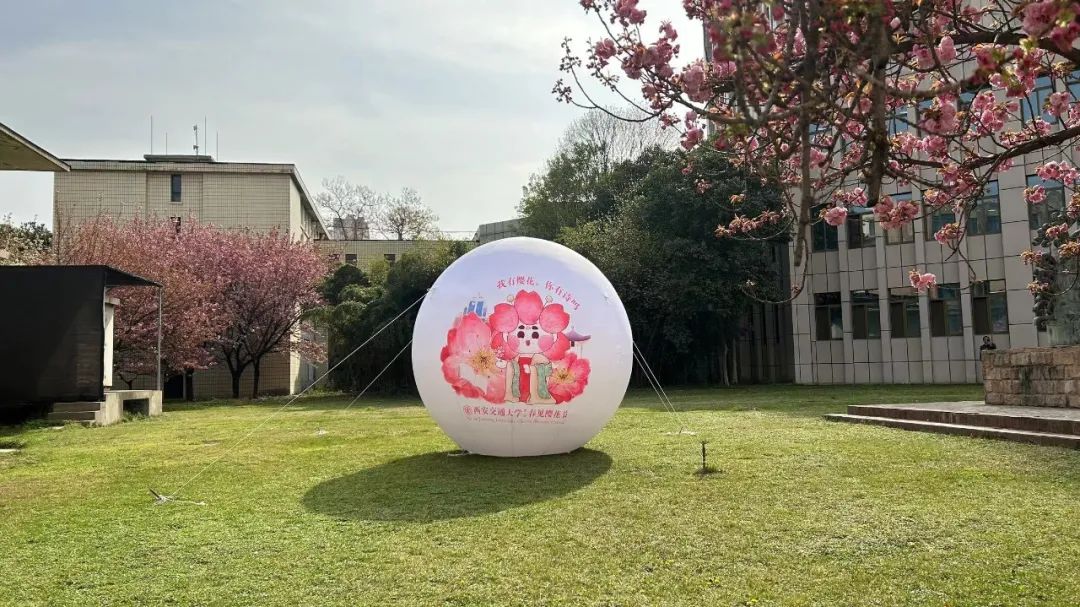 西安交通大学举办第二届春见樱花节,邀请师生一起开启文化交大之旅(图7) 西安交通大学举办第二届春见樱花节,邀请师生一起开启文化交大之旅(图7)