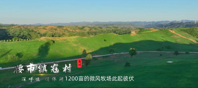 去秦岭腹地商洛的那些村看山亲水【醉美秦岭山水乡村游宣传推介会在西安举办】(图3)