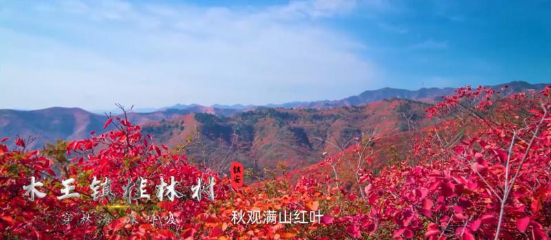 去秦岭腹地商洛的那些村看山亲水【醉美秦岭山水乡村游宣传推介会在西安举办】(图19)