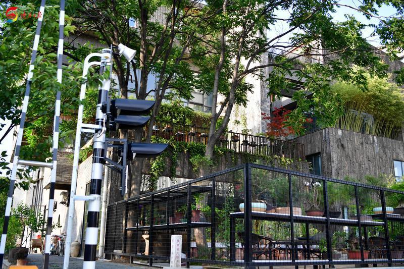 昔日旧厂房蝶变“西安铁路主题公园”相约家人、朋友坐着火车逛公园(图7)