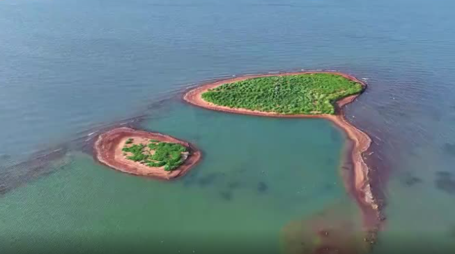 神木再次挺进全国十强县,对陕西做强县域经济有哪些启示?(图7) image.png