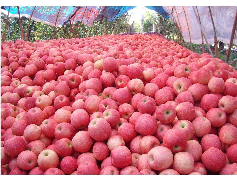 神木再次挺进全国十强县,对陕西做强县域经济有哪些启示?(图10) ff483a4cf11b0d1a66eaf713ce5d62ee.jpeg