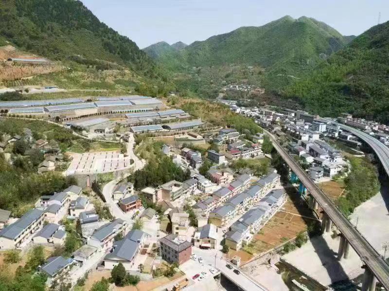 商洛市2023年第七次周末现场观摩会在柞水召开(图3) 商洛市2023年第七次周末现场观摩会在柞水召开(图3)