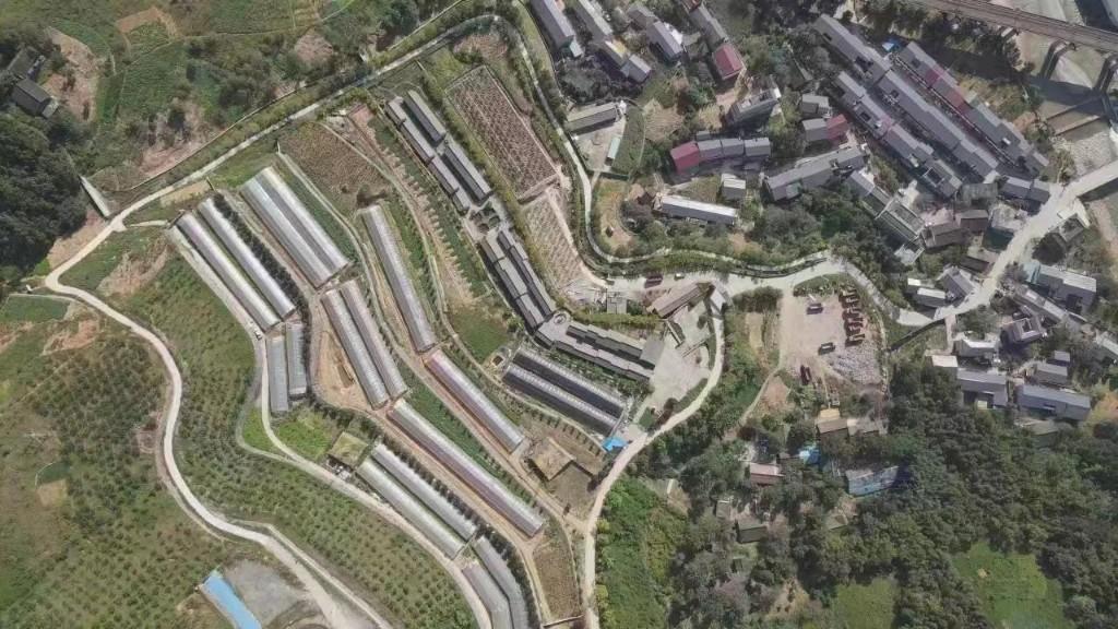 商洛市2023年第七次周末现场观摩会在柞水召开(图4) 商洛市2023年第七次周末现场观摩会在柞水召开(图4)