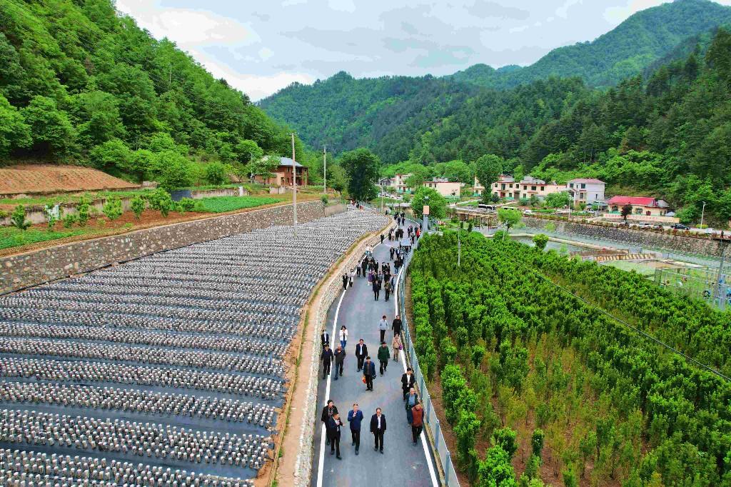 商洛市2023年第七次周末现场观摩会在柞水召开(图7) 商洛市2023年第七次周末现场观摩会在柞水召开(图7)