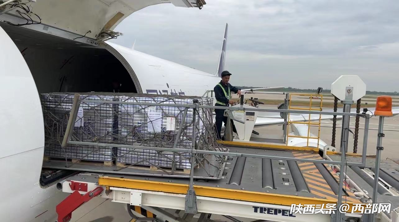 正在上传... 87a0e8c84d64416d029b78f38573836f.png