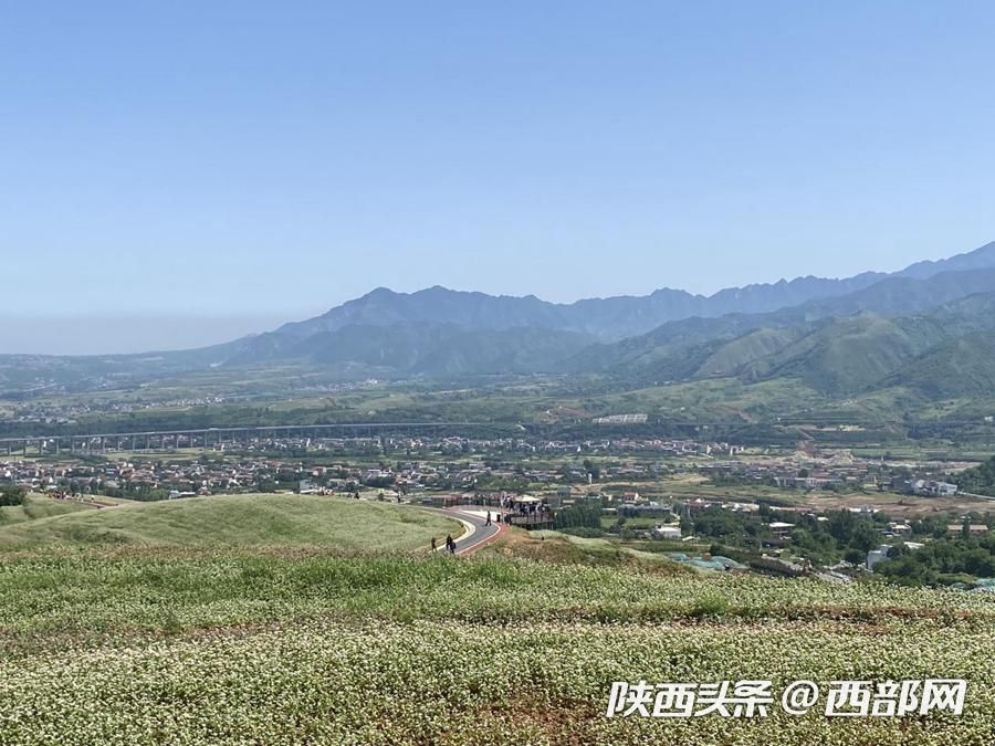 正在上传... 2ac522e78f4f51d8eb008c45a9e247e6.jpeg