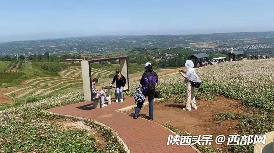 正在上传... 7f6ef07af08ce3d51638b52d25c59622.jpeg