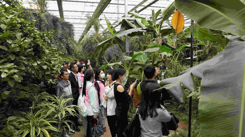 春风十里 相约自贸市民代表走进沣东新城功能区(图2) 春风十里 相约自贸市民代表走进沣东新城功能区(图2)