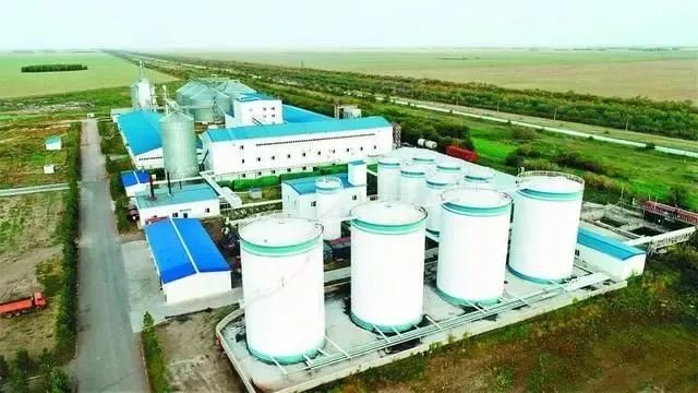 【丝路启新程】西安站在新起点续写高质量发展新篇章(图2) 图片