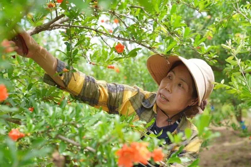 【丝路启新程】西安站在新起点续写高质量发展新篇章(图3) 图片