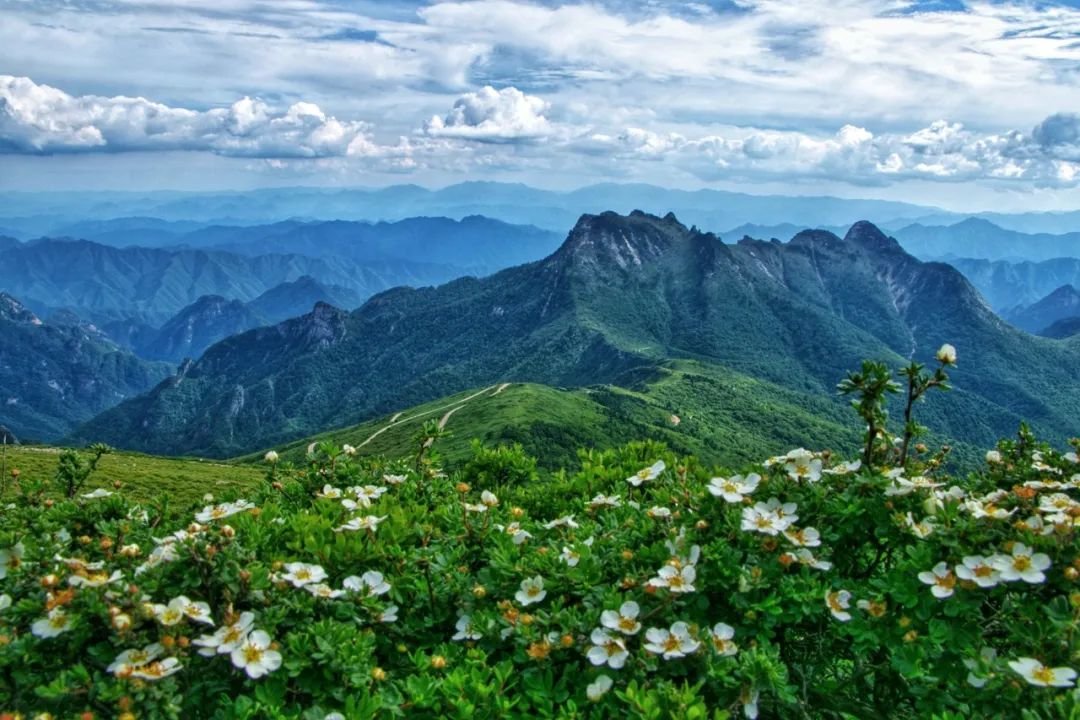 【丝路启新程】西安站在新起点续写高质量发展新篇章(图5) 图片