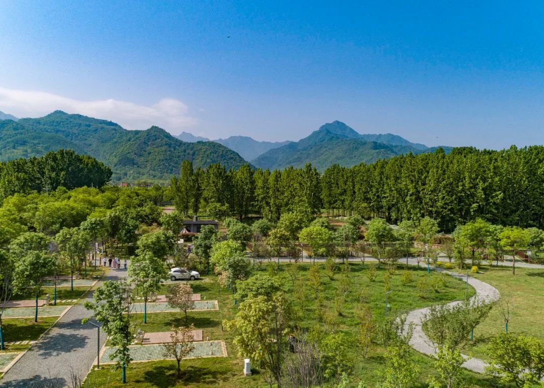 【丝路启新程】西安站在新起点续写高质量发展新篇章(图4) 图片