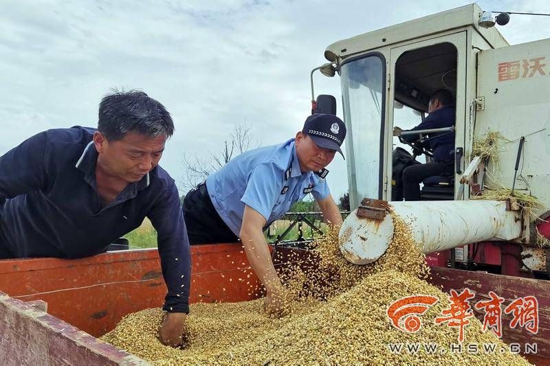 西安临潼区、鄠邑区趁天晴争分夺秒抢收已成熟的小麦(图7) 985bf52fbfc7392f3e430708250cb5e.jpg