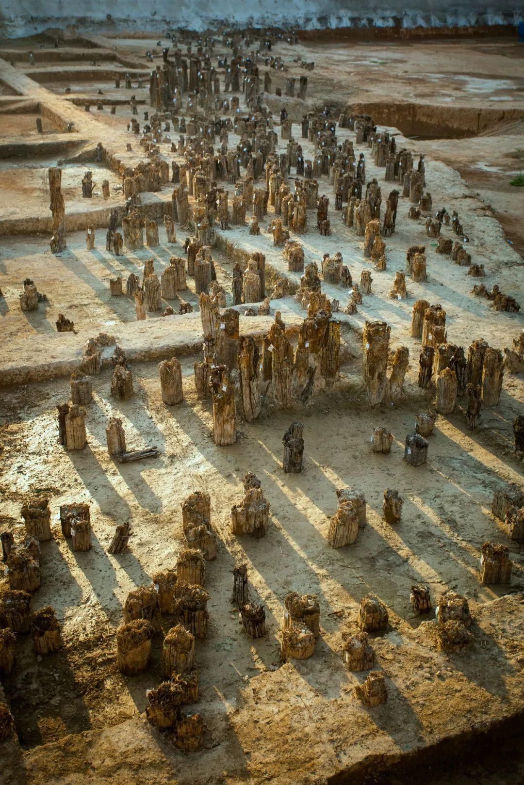 西安发布《乡党带你“桥”》系列第二期,我们去认识一下汉代长安城的桥(图4) d49e146d83fcb71500c53056a4d1df8e.jpeg