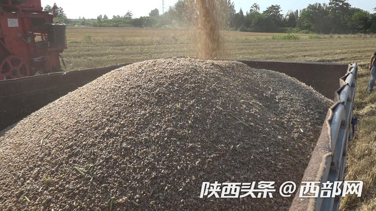 正在上传... fa6ae24ffdd540e75364ef03b1e774d0.png