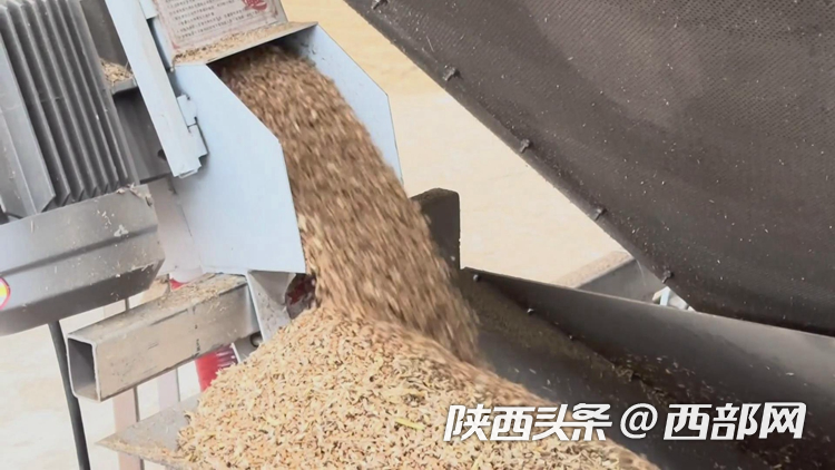 正在上传... 959e47d2f1b63b06237aaa9f3dc77cf2.png