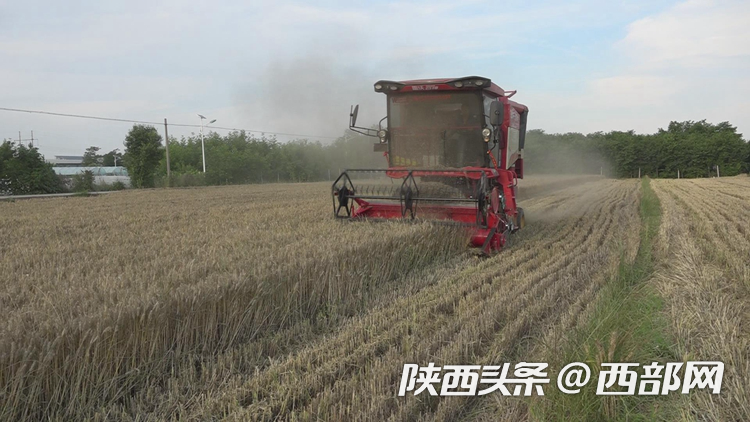 正在上传... c3ed379e26087c7654ad5671898d97a8.png