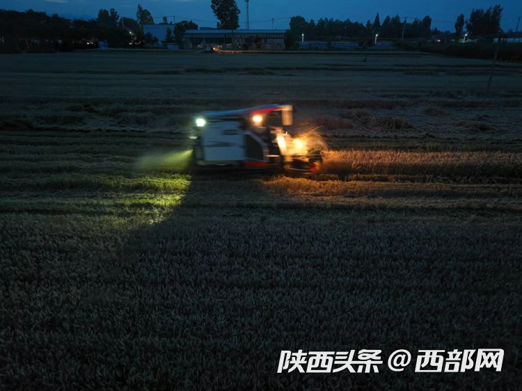 正在上传... 7d1edf603b02959d43994978cc388193.png