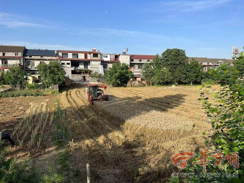 蓝田关庙村村委会免费为村民收割小麦 村民不用掏1分钱(图1) 19309bc335e5c0635e91cb558a078c2.jpg