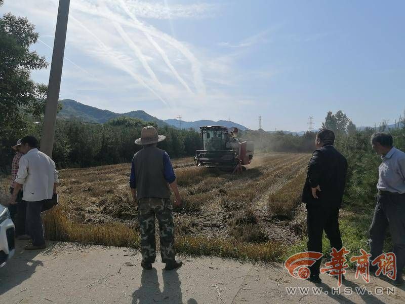 63161cac4449647caee3f19908eb80c.jpg 63161cac4449647caee3f19908eb80c.jpg