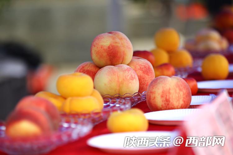 新一届“桃王”名单出炉!西安鲜桃评优活动在长安区举办(图2) 9946e75f92c928d94255de966954d174.jpeg