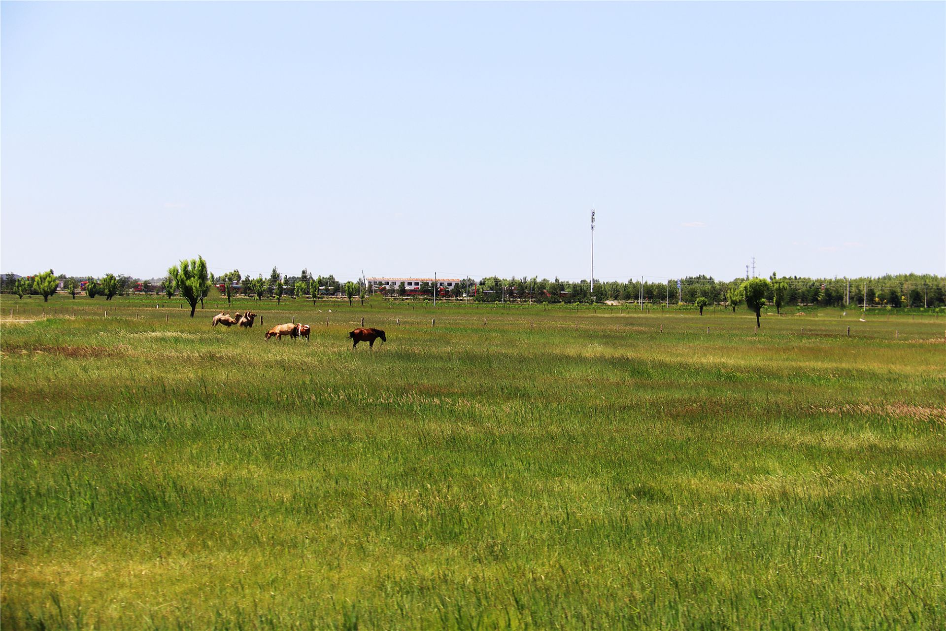 正在上传... aa5e16db1d61b8f6b6dfe2e17b0786b5.jpeg