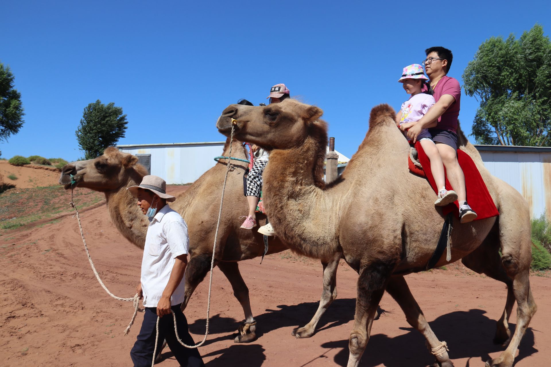 正在上传... 535cd41d84e3a8acd92d7fa03a41c9bb.jpeg