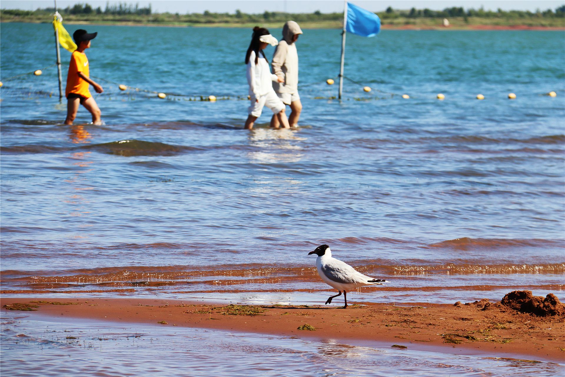 正在上传... 69a3e50b003f8d1a1eb6f5051eb7cde3.jpeg