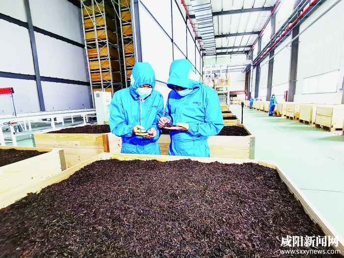 2021年第二季度重点项目观摩活动全景报道(图1) 01